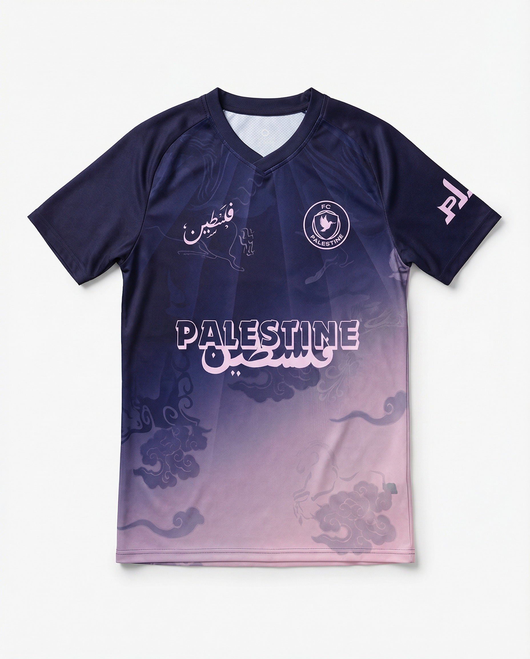 FC Palestine Viorose