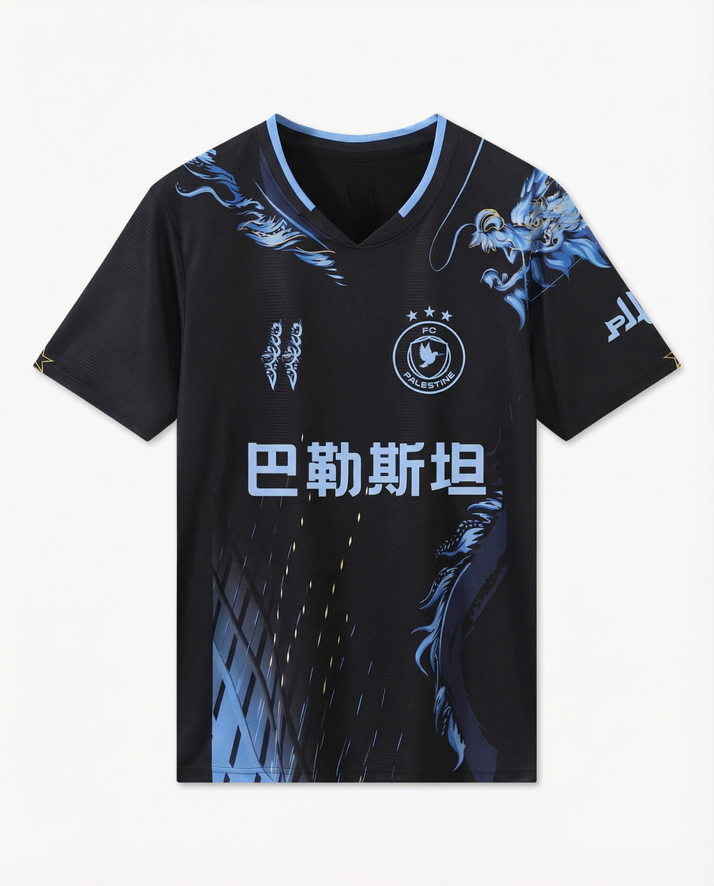 FC Palestine CN and PLTN